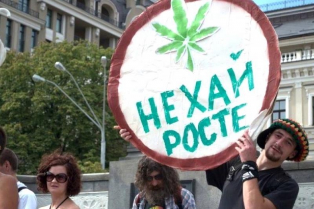 Легализация марихуаны в Украине - все за и против